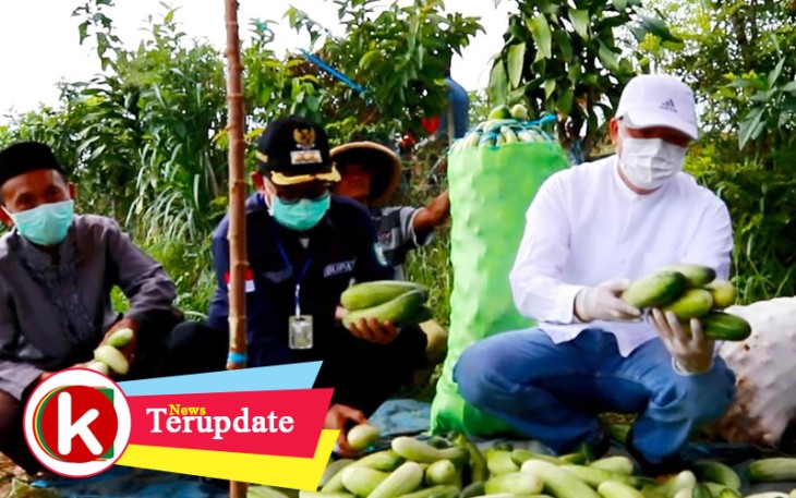Gubernur Rohidin Borong 6,4 Ton Sayuran di Kepahiang