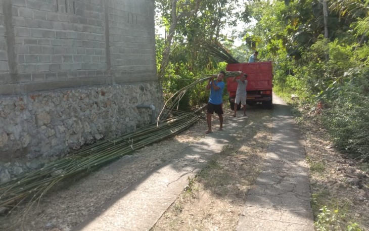 Karang Taruna Desa Ngepoh Bantu Turunkan Bambu