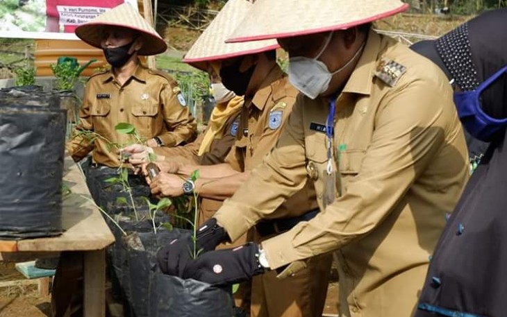 Bupati Bengkulu Utara Mian Tanam Bibit Sayur Secara Simbolis 