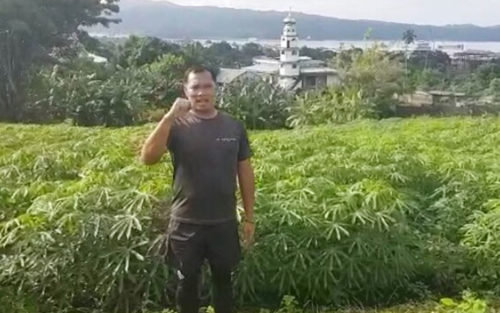 Dandim Bitung Tinjau Hanpangan Kebun Singkong