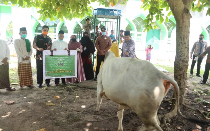 Pemko Serahkan 50 Ekor Hewan Qurban untuk Masjid dan Surau se-Tanjungpinang