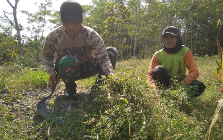 Meski Seorang TNI Koptu Andree Tak Bisa Diremehkan Saat Cari Rumput untuk Warga