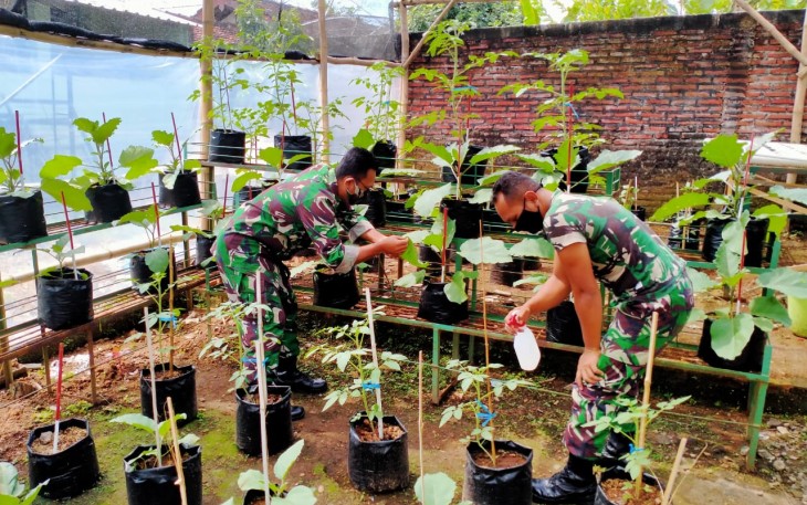 Pemanfaatan Lahan Kosong Untuk MKRPL