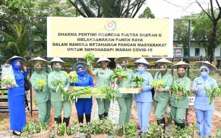 Dharma Pertiwi Koorcab Sultra Daerah G Lakukan Panen Sayuran