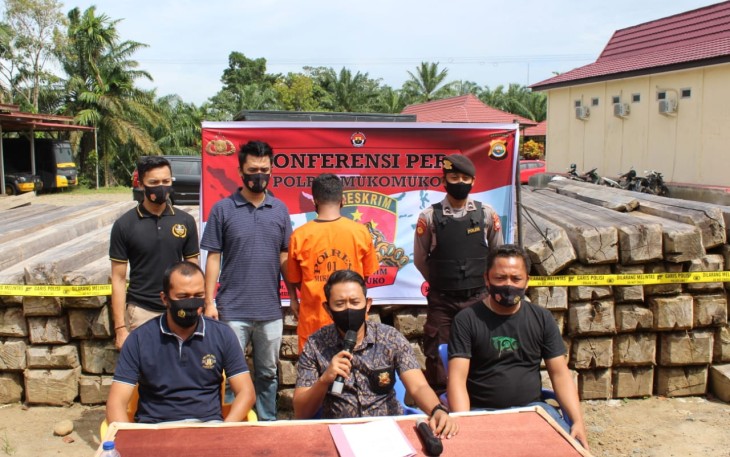 Polres Mukomuko Bekuk Terduga Pelaku Illegal Logging di Aur Cina