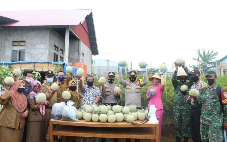 Polres Bengkulu Panen Raya Buah Melon di Kampung Berseri Dengan Masyarakat 