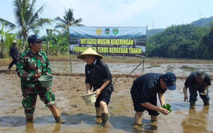 Purwakarta terus bergerak tanam