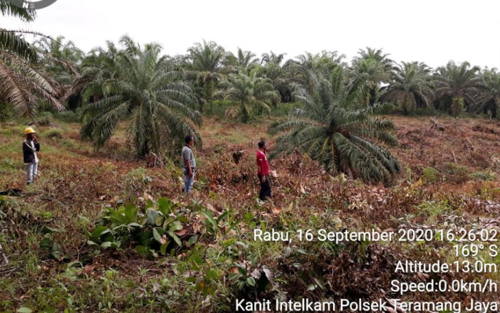 Lahan PT Agro Muko BTE