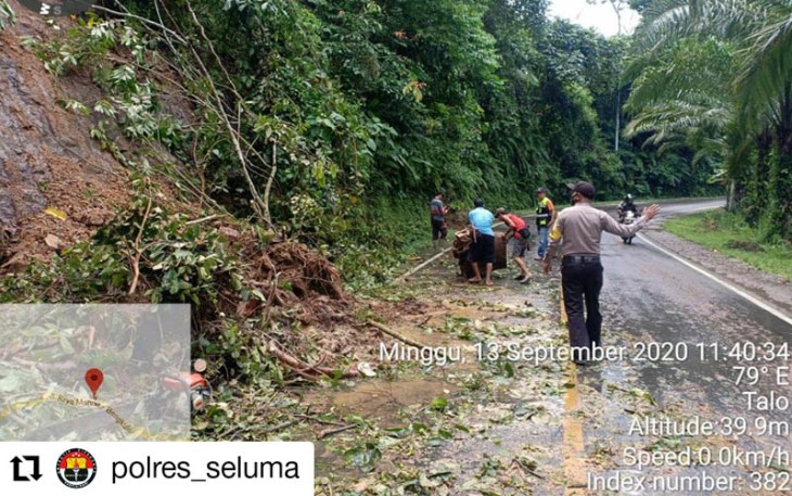 Warga dan Polisi Gotong Royong Singkirkan Pohon Tumbang Tutup Badan Jalan 
