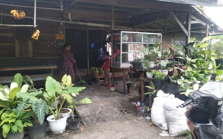Manfaatkan Waktu Ditengah Pandemi Dengan Bercocok Tanaman Hias