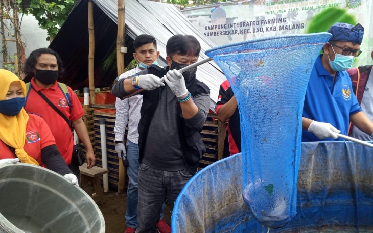 Peternak Lele Malang Raya Butuh Bantuan Modal Pemerintah