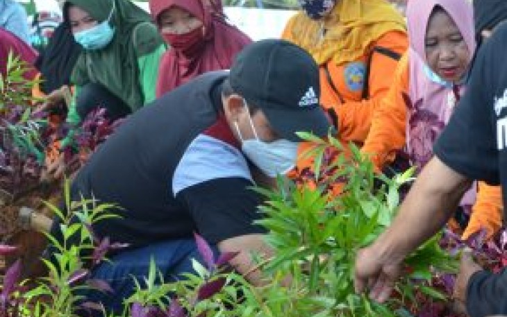  Wakil Walikota Bengkulu Dedy Wahyudi Saat Menanam Bunga di Jaln S. Parman Kota Bengkulu