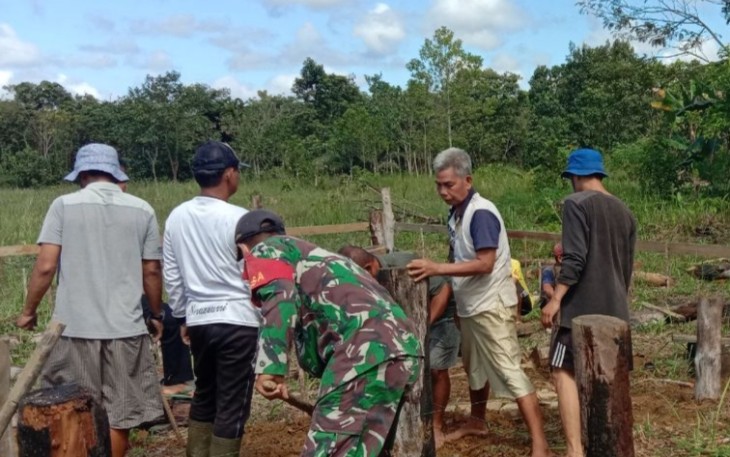 Manunggal Dengan Rakyat, Babinsa 1206 - 01/Embaloh Hilir Bantu Warga Binaan Penancapan Pondasi Rumah.