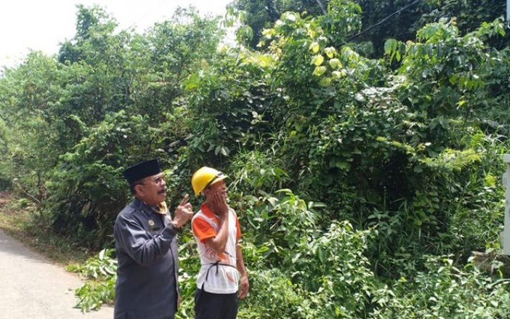 DPRD Benteng Pantau Jaringan Listrik yang Terganggu Semak Belukar