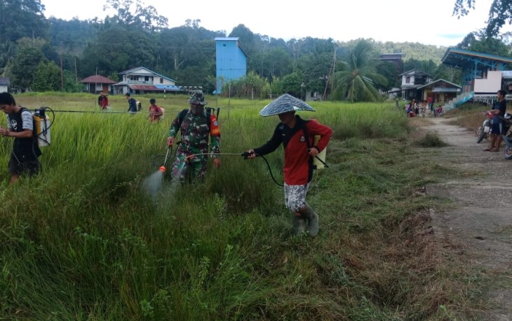 Babinsa Koramil 1206 - 17/Silat Hilir Bersama Warga Gotong Royong Bersihkan Lapangan Sepak Bola