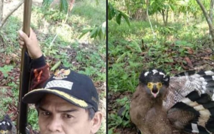 Unggah Foto Burung Hasil Buruan Oknum Kades di Bengkulu Utara Tuai Cibiran