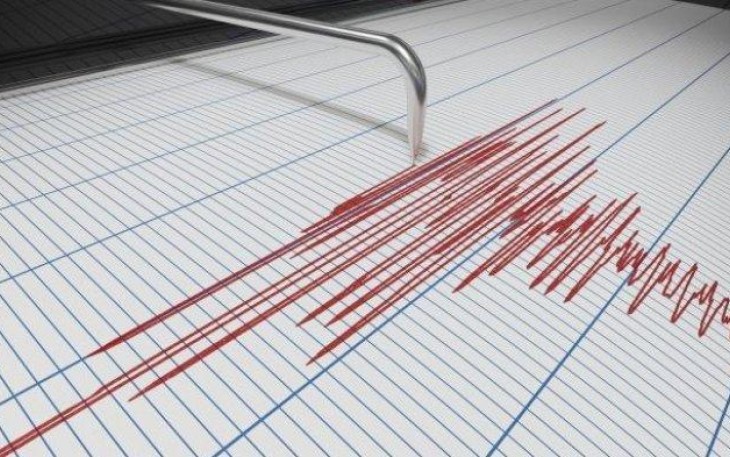 Grafik Ukur Kekuatan Gempa dari Seismograf (Ist)