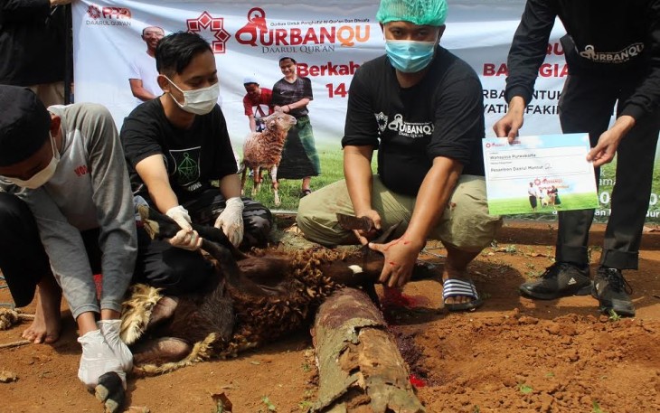 PPPA Daarul Qur’an Bandung Gelar Penyembelihan Hewan Qurban Selama 4 Hari Berturut-turut