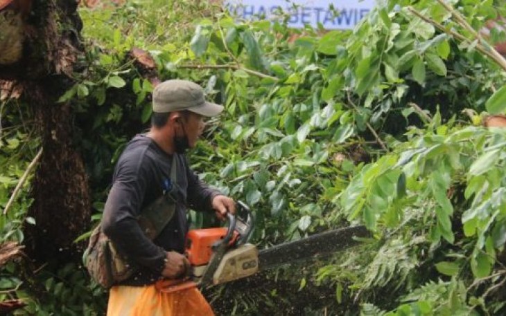 Badai disertai Hujan, BPBD Imbau Warga Jauhi Pohon dan Bangunan Berpotensi Roboh