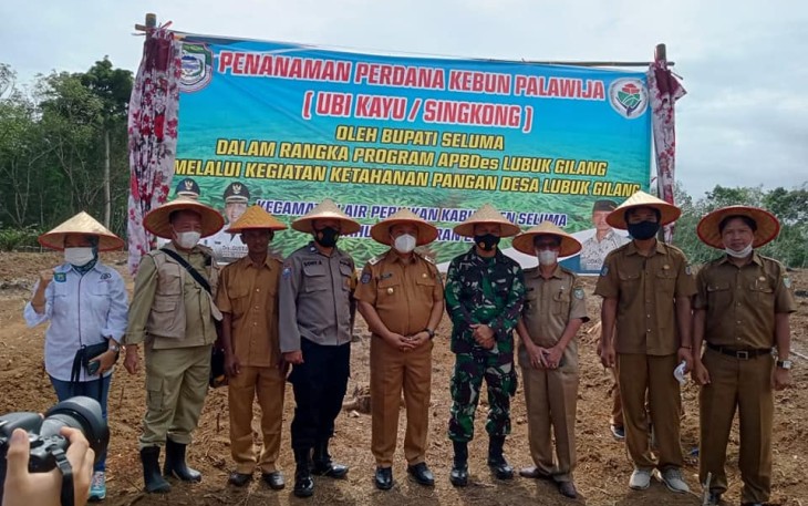 Wabup Seluma Tanam Peredana Singkong Di Desa Lubuk Gilang 