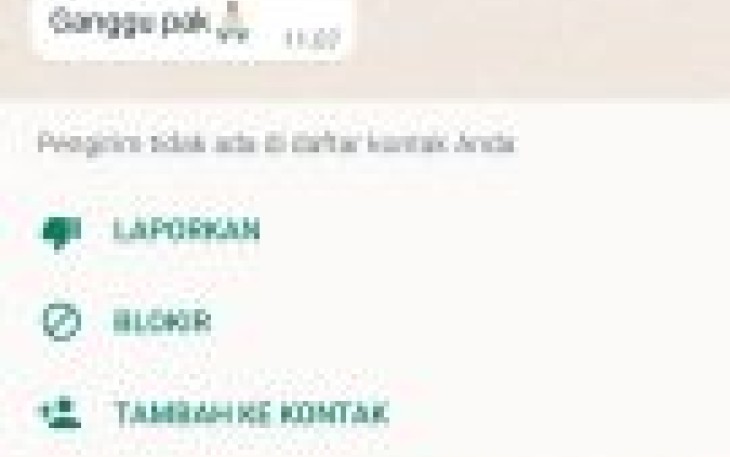 Waspada Penipuan, Oknum Tak Bertanggung Jawab Catut Nama Kasi Intel Kejari Kota Bengkulu