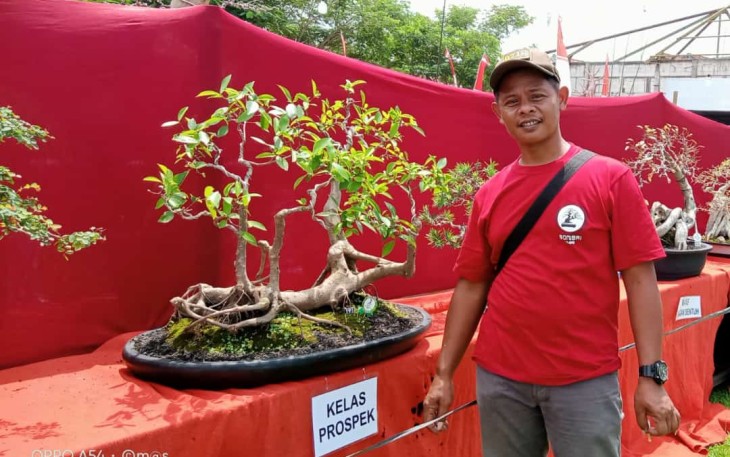 Partisipasi KBP dalam kontes bonsai