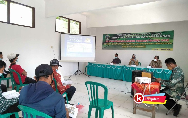 Situasi Pelatihan Budidaya Jangrik di Desa Sumberjo Kecamatan Sanankulon Kabupaten Blitar (foto : Faisal NR / Klikwarta.com)