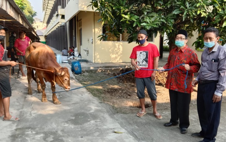 Wakil Rektor Bidang Administrasi, Keuangan dan SDM, Dr. Bambang Ali Kusuma, SH, M.Hum, secara simbolis menyerahkan lembu qurban kepada Pengurus PHBI Unisri