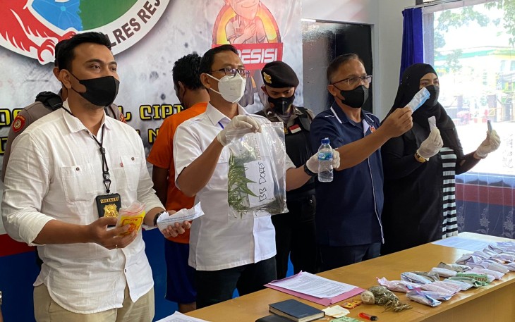 Polres Rejang Lebong Release Ungkap Kasus Ratusan Pohon Ganja dan Puluhan Paket Siap Edar