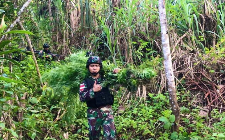 Personel Satgas Yonif 126/KC saat Temukan Ladang Ganja