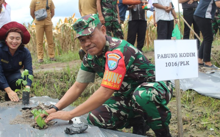 Program Gerakan Nasional Pengendalian Inflasi Pangan 