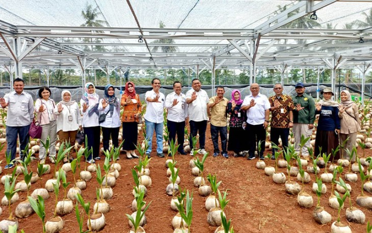 Dirjen Perkebunan Andi Nur Alam Syah saat meninjau nursery modern kelapa di Desa Beji, Kecamatan Tulis, Kabupaten Batang, Jawa Tengah, Rabu (12/10/2022).
