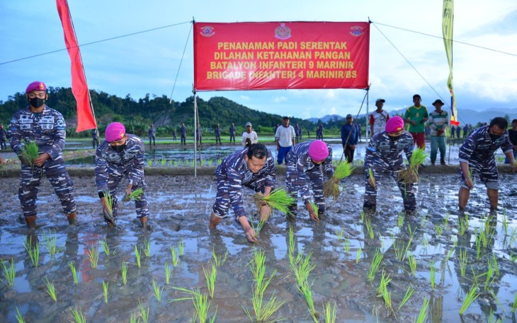 Ketahanan Pangan Brigif 4 Mar/BS Untuk Kesejahteraan Masyarakat 