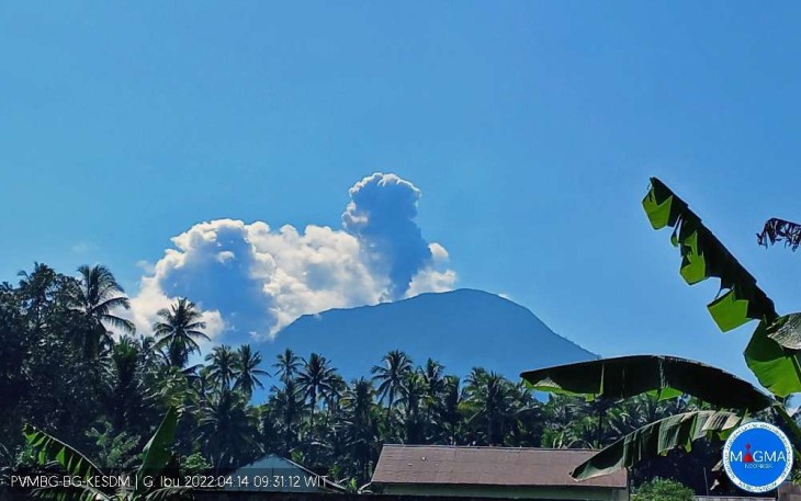 Gunungapi Ibu saat Erupsi, Muntahan Kolom Abu Teramati Setinggi 800 Meter
