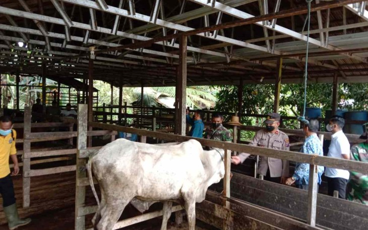 Serka Joko sosialisasi ke peternak bahaya virus PMK. Selasa (17/05/2022)
