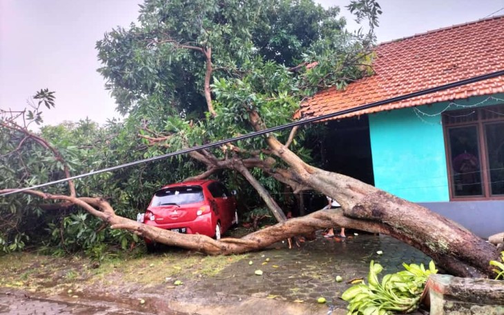 Pohon tumbang diterjang angin kencang di kecamatan Kendal