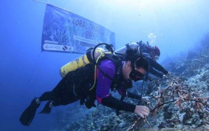 Danyonmarhanlan IX Ambon turut serta ikuti transplantasi terumbu karang di perairan negri Morella Kabupaten Maluku Tengah 