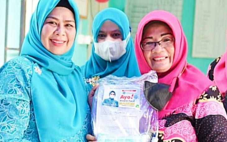 Ketua TP-PKK Provinsi Kepri Hj. Dewi Kumalasari Ansar saat melakukan monitoring dan sosialisasi Kegiatan Bulan Imunisasi Anak Nasional (BIAN) di Posyandu Dahlia Indah, Kijang Kota, Bintan, Kamis (16/6).