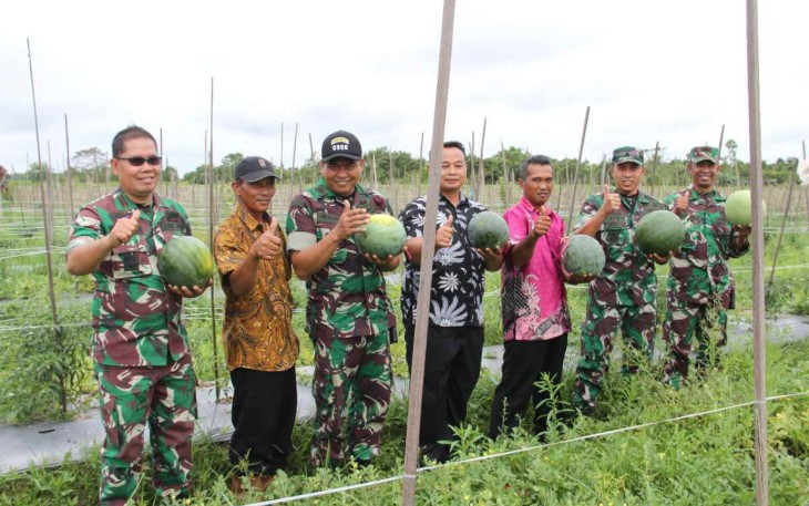 Dandim 0906/Kkr saat panen semangka di desa Panca Jaya