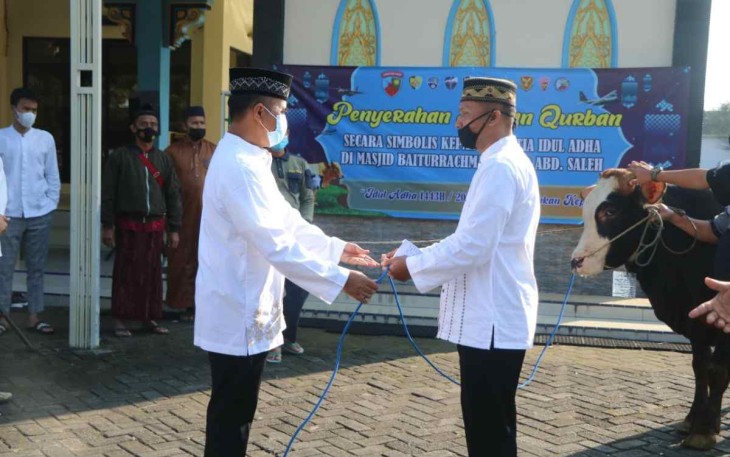 Danlanud Abd Saleh saat menyerahkan hewan qurban 