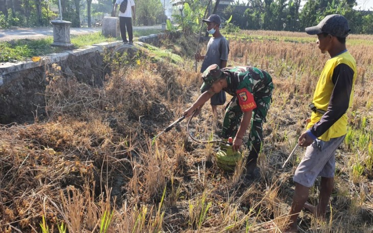 Basmi hama tikus bersama warga binaan