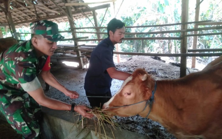 Pengecekan kesehatan hewan ternak warga binaan