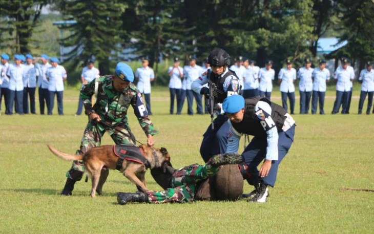 Demo ketangkasan K9 anjing pelacak unit Satwan Satpomau Lanud Abd Saleh