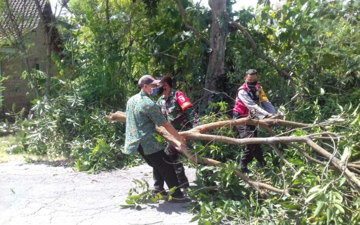 Gotong-royong bersihkan pohon tumbang di pinggir jalan