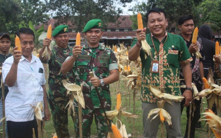 Panen Jagung Yonif 410/Alugoro