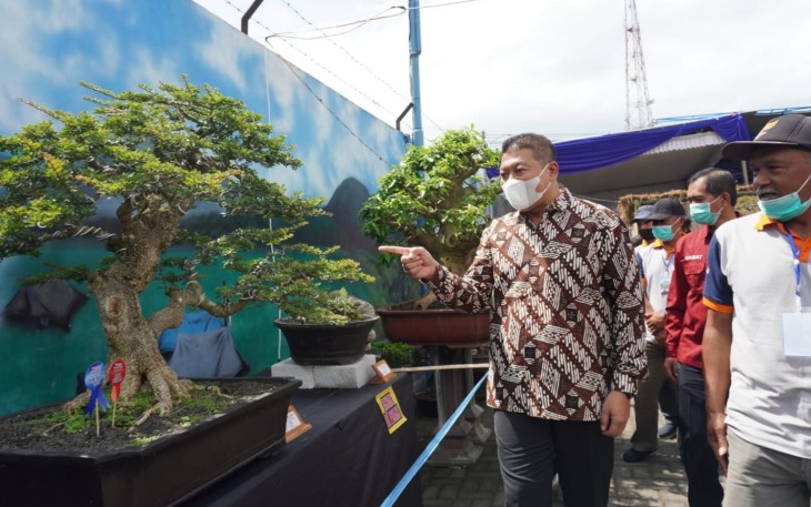 Wakil Bupati Malang, Didik Gatot Subroto, saat menghadiri kontes bonsai di Cop Sae, Kecamatan Pujon