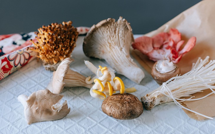 Jamur Enoki (sumber foto:pixel.com)