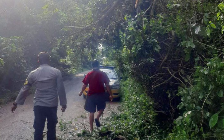 Polisi Bersama Warga saat Evakuasi Pohon Tumbang yang membahayakan Pengemudi