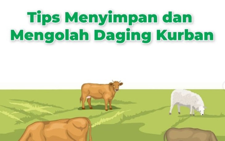 Tips Mengolah dan Menyimpan Daging Qurban!