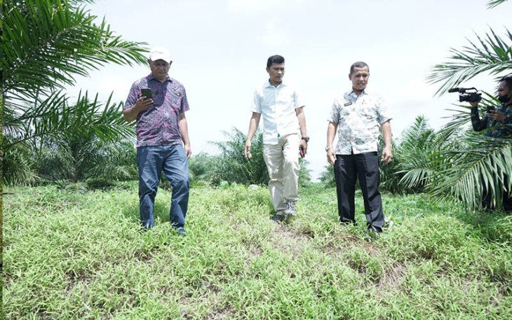 Tim Pemkab Asahan saat tinjau langsung lokasi, Kamis (29/09/2022).